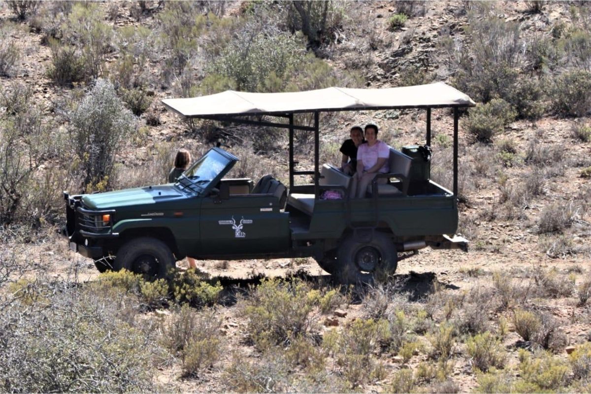 An elevated view of a safari vehicle traversing the natural, undeveloped landscape of the residential property.