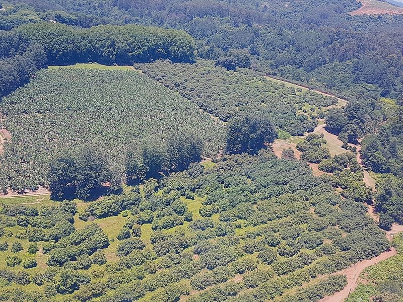 193-Hectare Farm in Kiepersol Valley near Kruger National Park - Photo 4