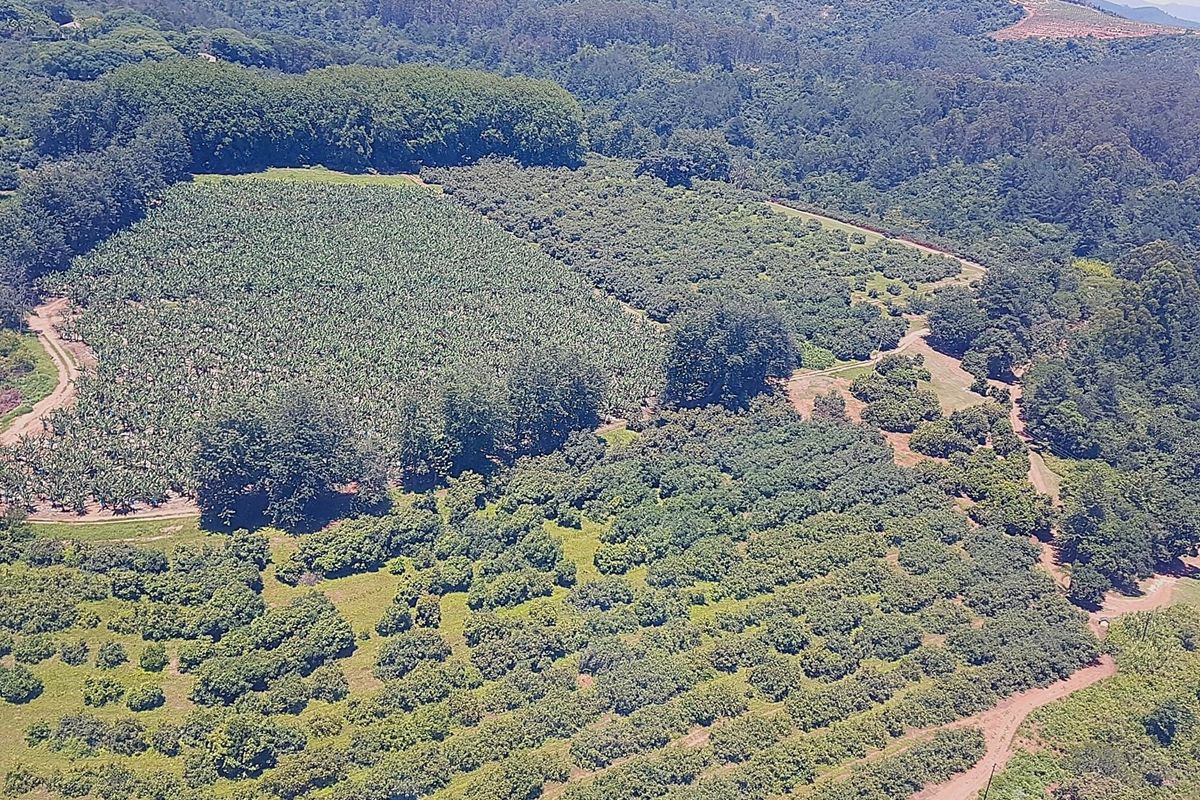 193-Hectare Farm in Kiepersol Valley near Kruger National Park - Photo 4