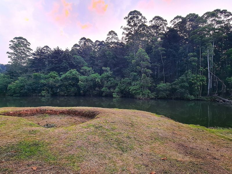 193-Hectare Farm in Kiepersol Valley near Kruger National Park - Photo 9