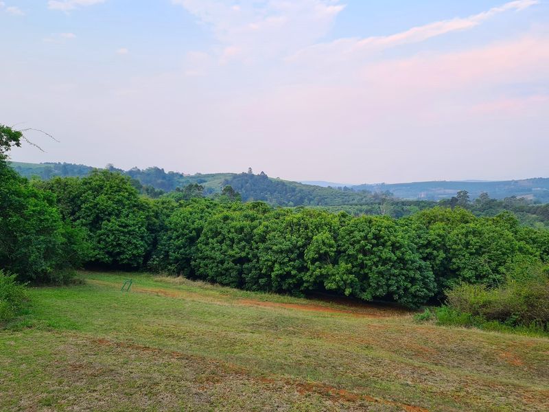 193-Hectare Farm in Kiepersol Valley near Kruger National Park - Photo 5
