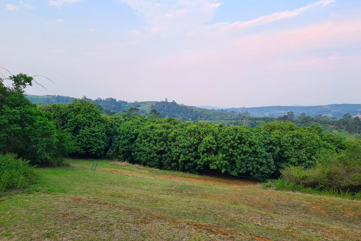 193-Hectare Farm in Kiepersol Valley near Kruger National Park - Photo 5