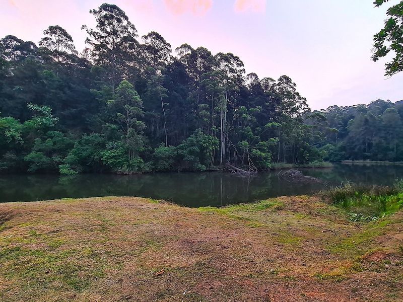 193-Hectare Farm in Kiepersol Valley near Kruger National Park - Photo 2
