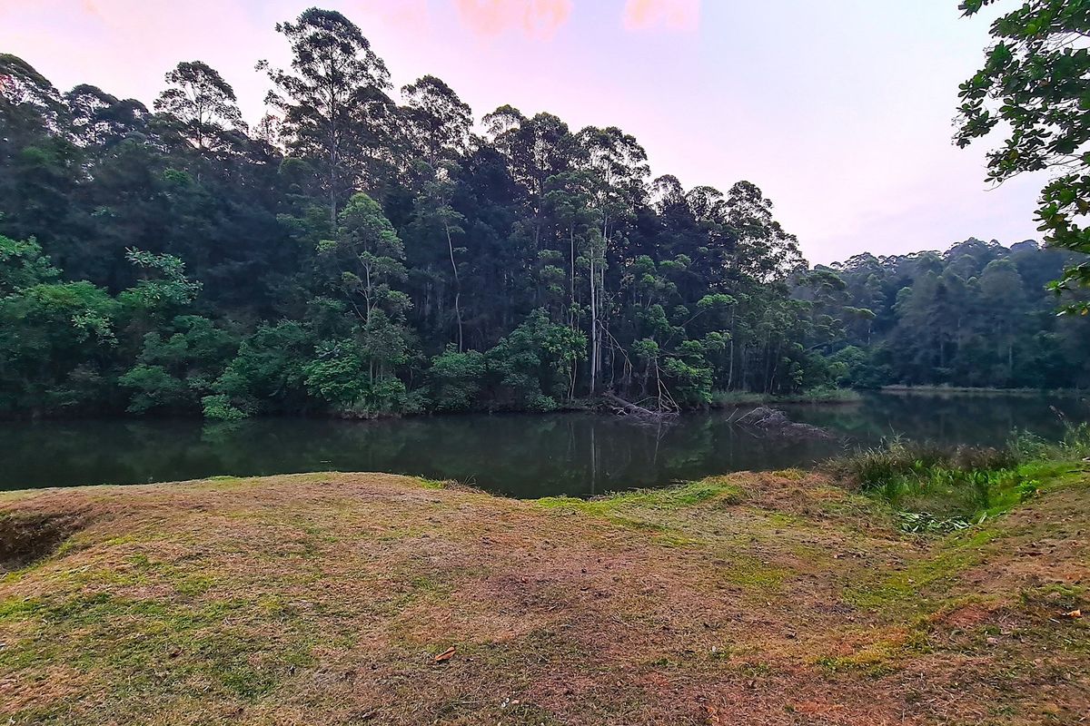 193-Hectare Farm in Kiepersol Valley near Kruger National Park - Photo 2
