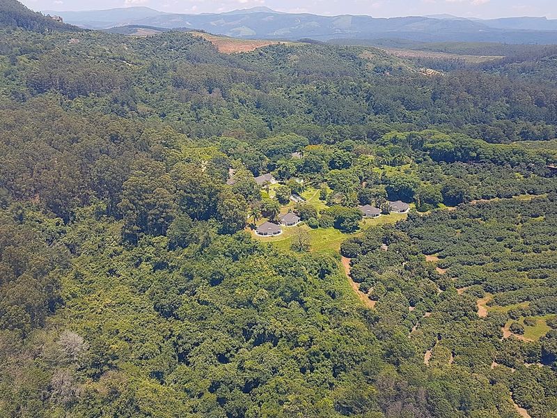 193-Hectare Farm in Kiepersol Valley near Kruger National Park - Photo 10