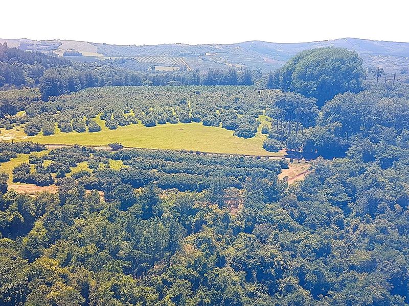 193-Hectare Farm in Kiepersol Valley near Kruger National Park - Photo 7