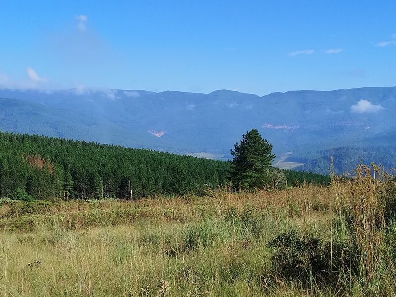 A scenic view of the surrounding landscape featuring rolling hills, dense forest, and open grassy terrain.