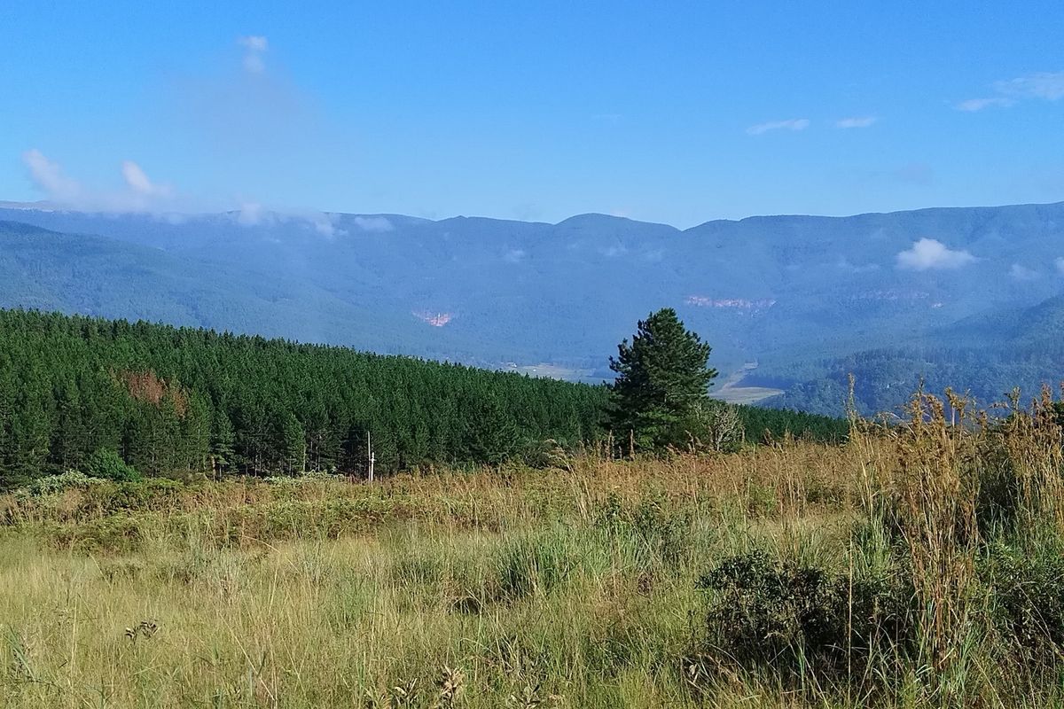 A scenic view of the surrounding landscape featuring rolling hills, dense forest, and open grassy terrain.