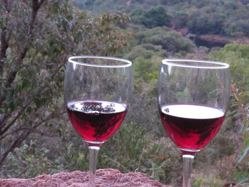 Zwartkloof Private Game Reserve-South facing stand with stunning mountain views and rock formations - Photo 4