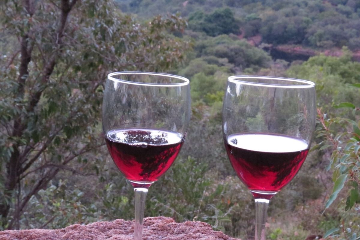 Zwartkloof Private Game Reserve-South facing stand with stunning mountain views and rock formations - Photo 4