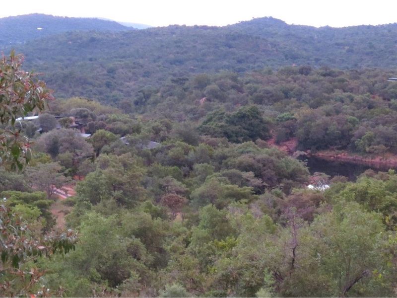 A scenic elevated view overlooking a lush, wooded landscape with a glimpse of a water feature in the distance.