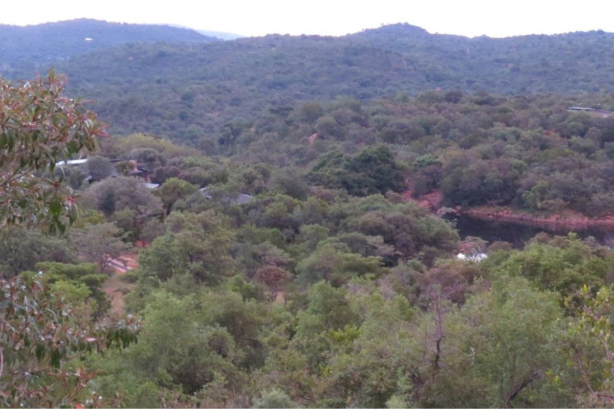A scenic elevated view overlooking a lush, wooded landscape with a glimpse of a water feature in the distance.
