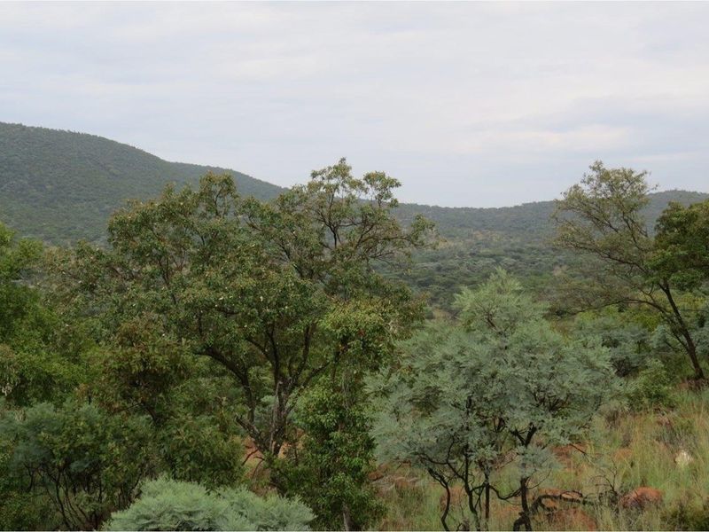 A scenic view of the natural landscape featuring rolling hills and native vegetation on this vacant residential land.