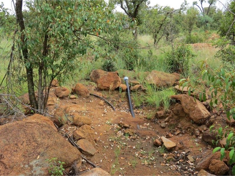 A view of the natural landscape on the vacant residential property, featuring native trees, rocky terrain, and exposed utility piping.