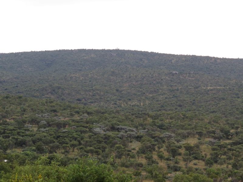 A scenic view of the surrounding natural landscape and rolling hills, showcasing the property's tranquil and elevated position.