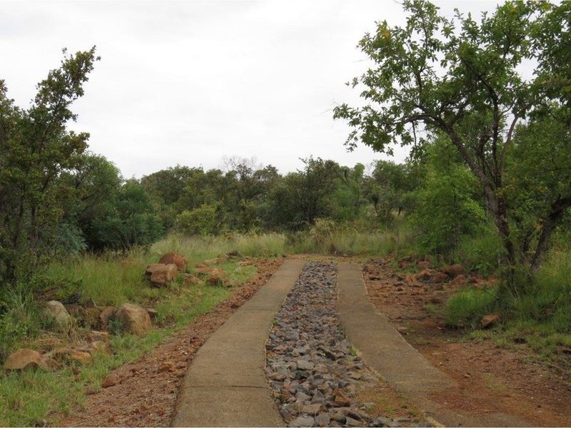 A view of a natural residential plot featuring a concrete and stone driveway path leading through indigenous vegetation and rocky terrain.
