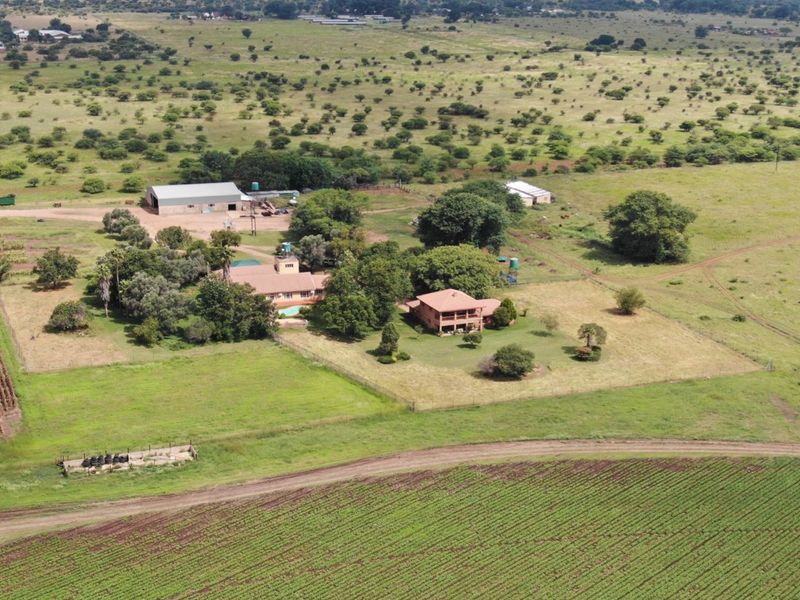Multiple use farm close to Bela Bela for sale. Good water, tar road, Modern facilities - Photo 6