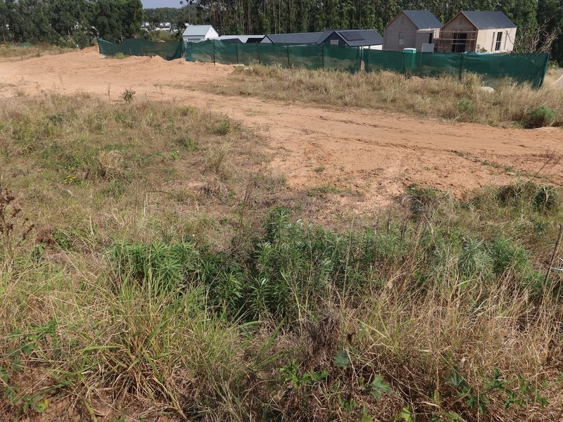 Unlock Your Dream: Prime Vacant Land Awaits! - Photo 10