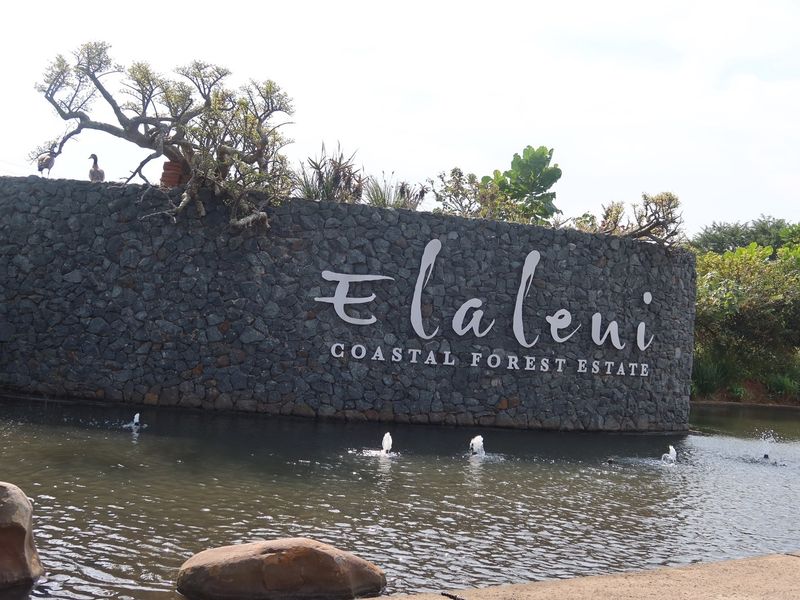 Unlock Your Dream: Prime Vacant Land Awaits! - Photo 4