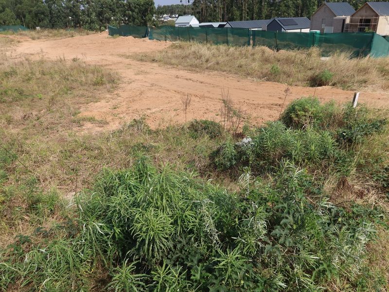 Unlock Your Dream: Prime Vacant Land Awaits! - Photo 9