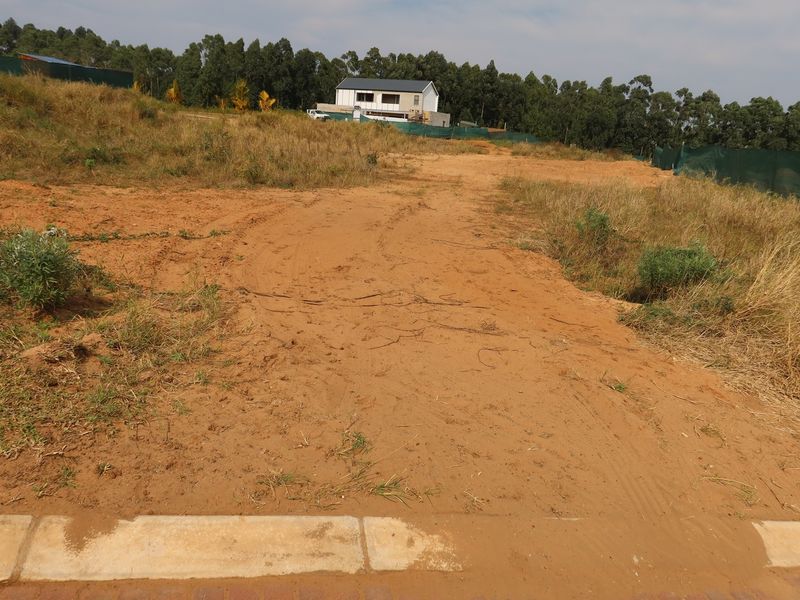 Unlock Your Dream: Prime Vacant Land Awaits! - Photo 7