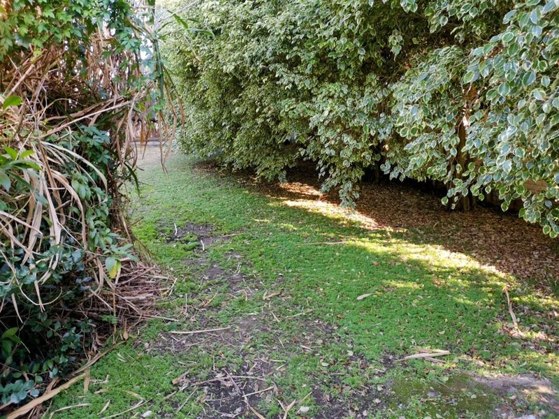 694m2 Level Plot in Sunrise-on-Sea - Priced to Sell! - Photo 10