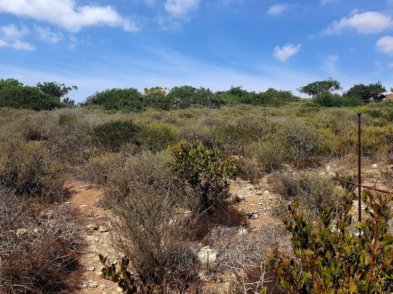 Tranquil Coastal Haven: Spectacular Views, Prime Opportunity - Photo 7