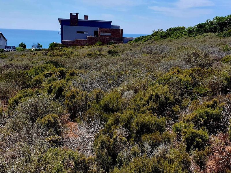 Tranquil Coastal Haven: Spectacular Views, Prime Opportunity - Photo 4