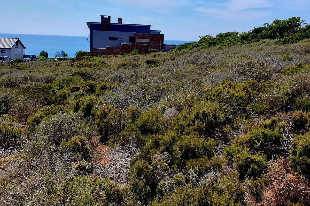 Tranquil Coastal Haven: Spectacular Views, Prime Opportunity - Photo 4