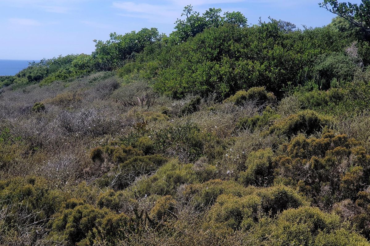 Tranquil Coastal Haven: Spectacular Views, Prime Opportunity - Photo 5