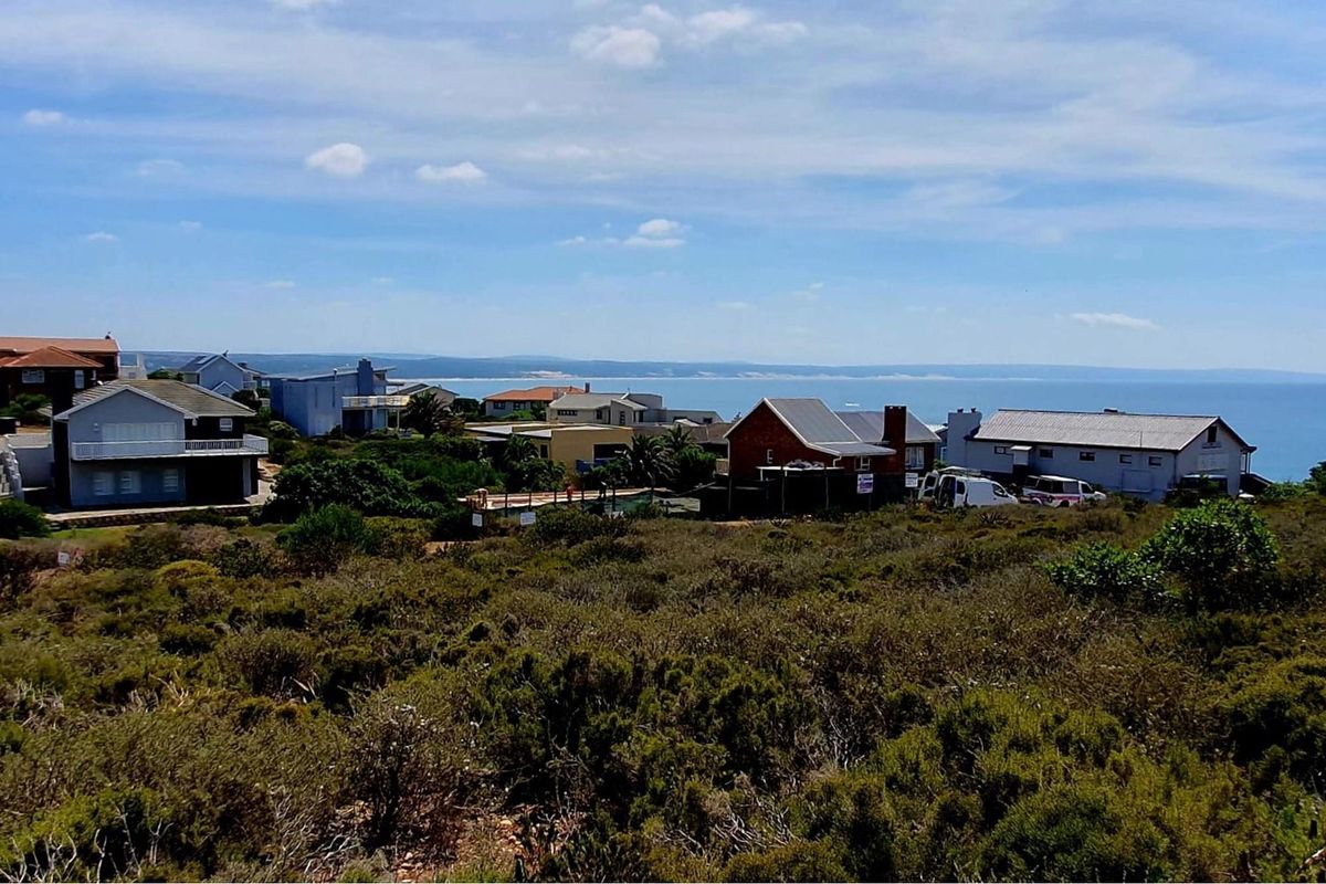 A scenic view overlooking a coastal residential neighborhood with native vegetation in the foreground and the ocean in the distance.