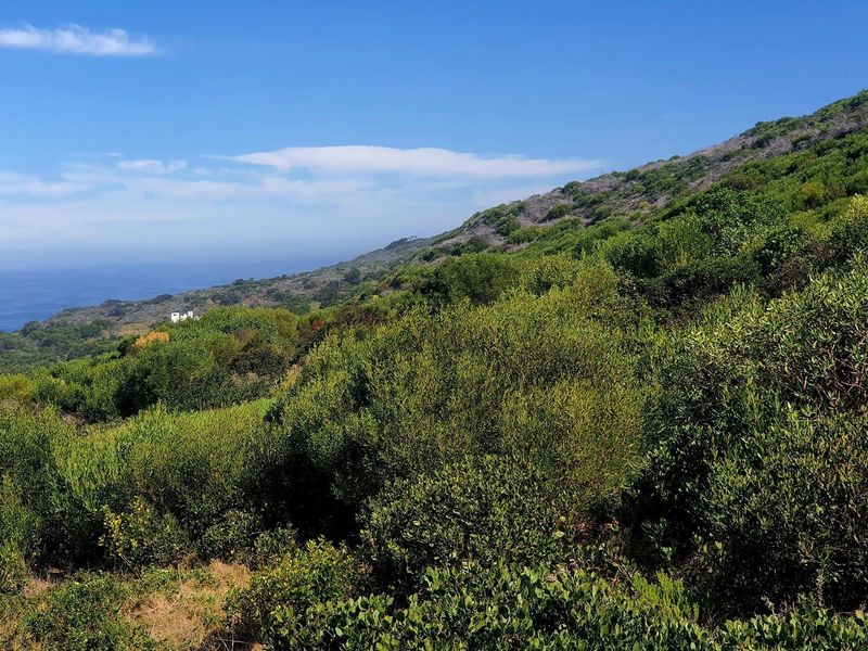 Fynbosstrand: Serene Coastal Haven, Unmatched Investment Opportunity - Photo 8