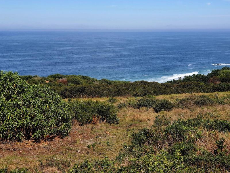 Fynbosstrand: Serene Coastal Haven, Unmatched Investment Opportunity - Photo 3