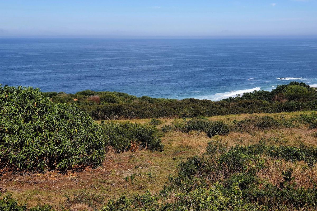 Fynbosstrand: Serene Coastal Haven, Unmatched Investment Opportunity - Photo 3