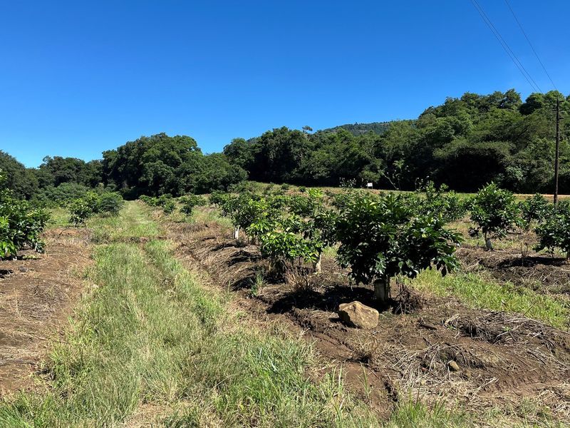 "Own Your Paradise: Orange Farm in Schoemanskloof" - Photo 6