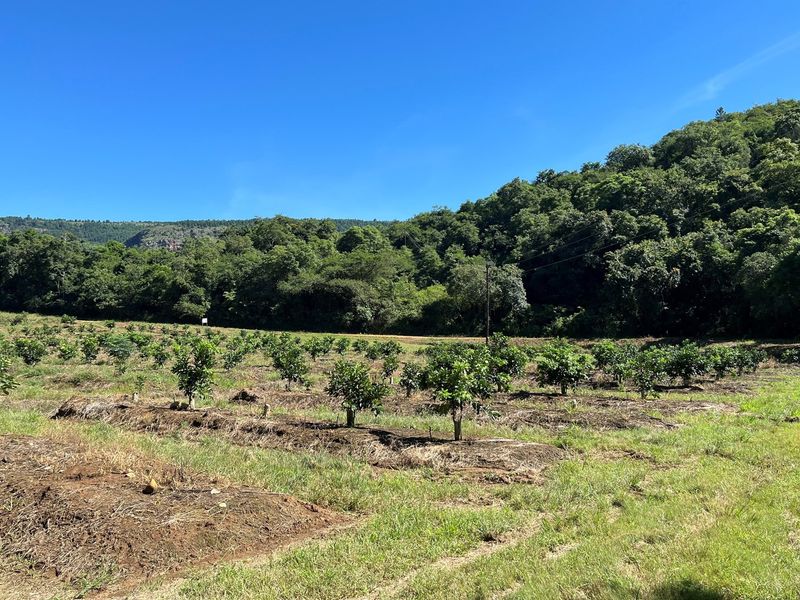 "Own Your Paradise: Orange Farm in Schoemanskloof" - Photo 7