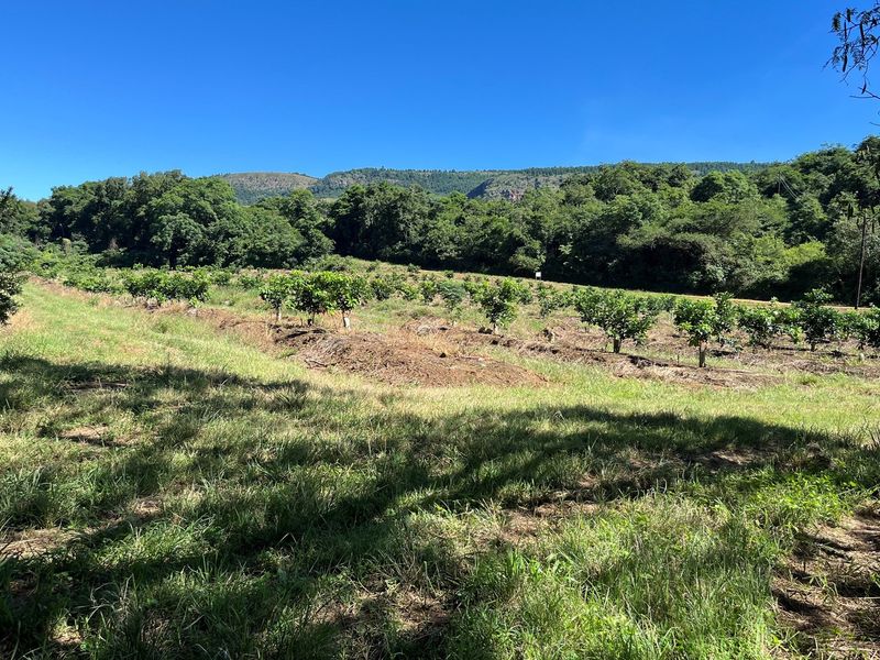 "Own Your Paradise: Orange Farm in Schoemanskloof" - Photo 8