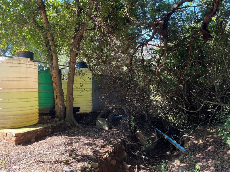 "Own Your Paradise: Orange Farm in Schoemanskloof" - Photo 9