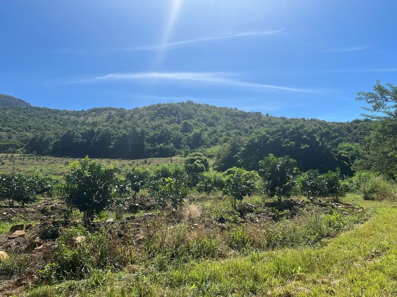 "Own Your Paradise: Orange Farm in Schoemanskloof" - Photo 3