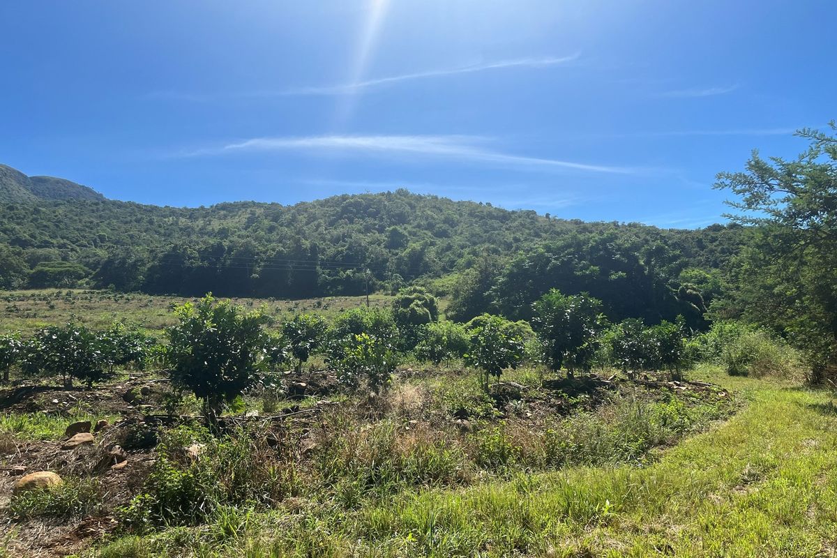 "Own Your Paradise: Orange Farm in Schoemanskloof" - Photo 3
