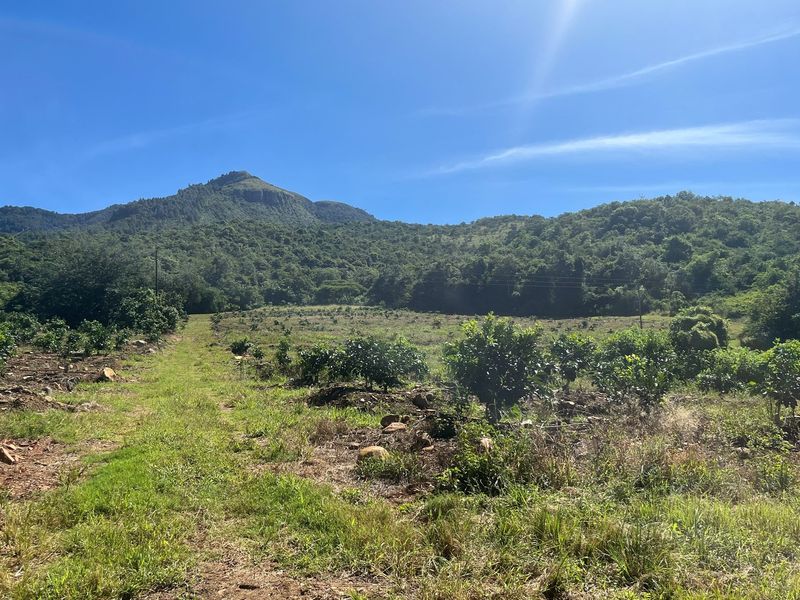 "Own Your Paradise: Orange Farm in Schoemanskloof" - Photo 4