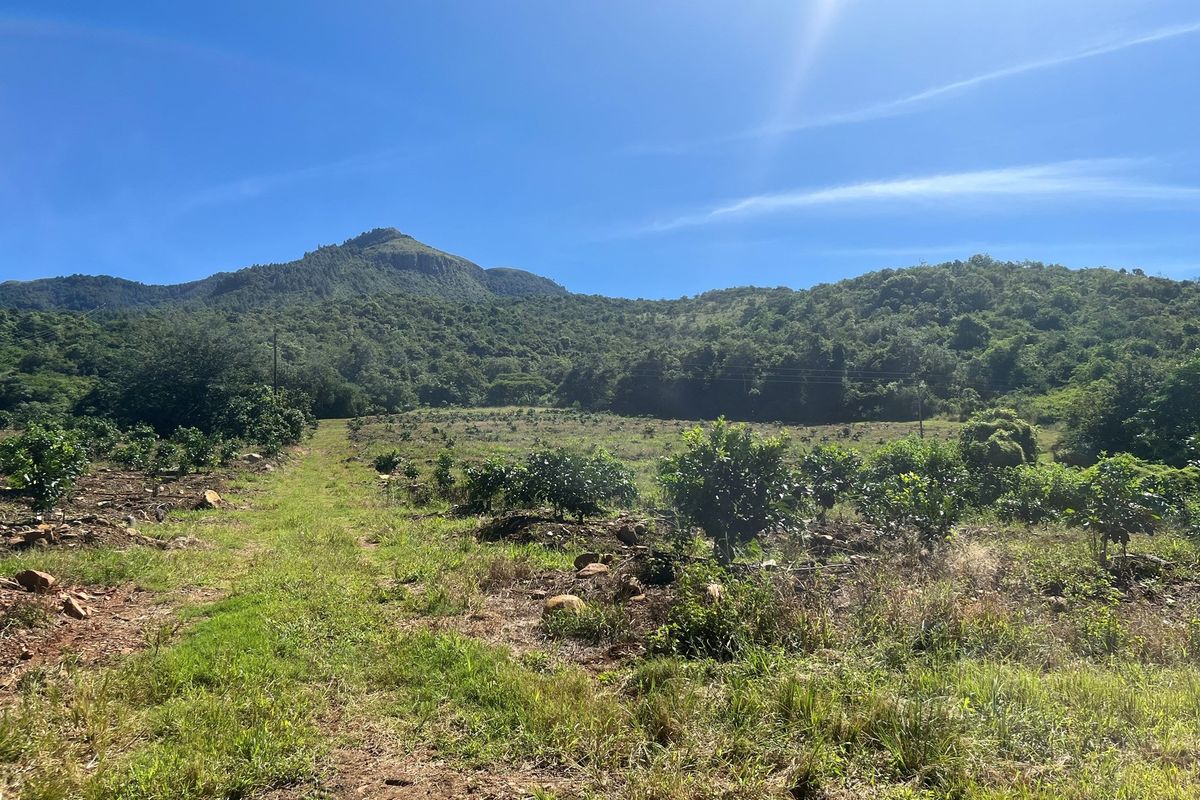 "Own Your Paradise: Orange Farm in Schoemanskloof" - Photo 4