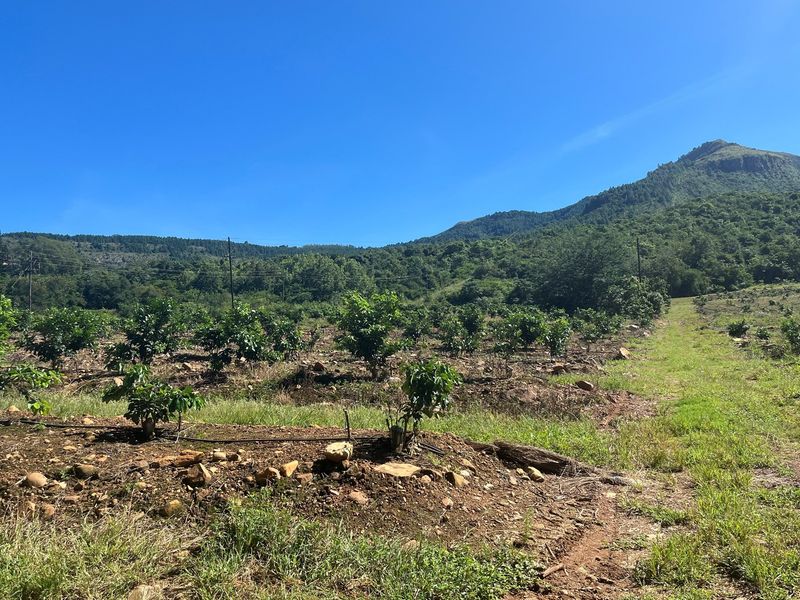 "Own Your Paradise: Orange Farm in Schoemanskloof" - Photo 5