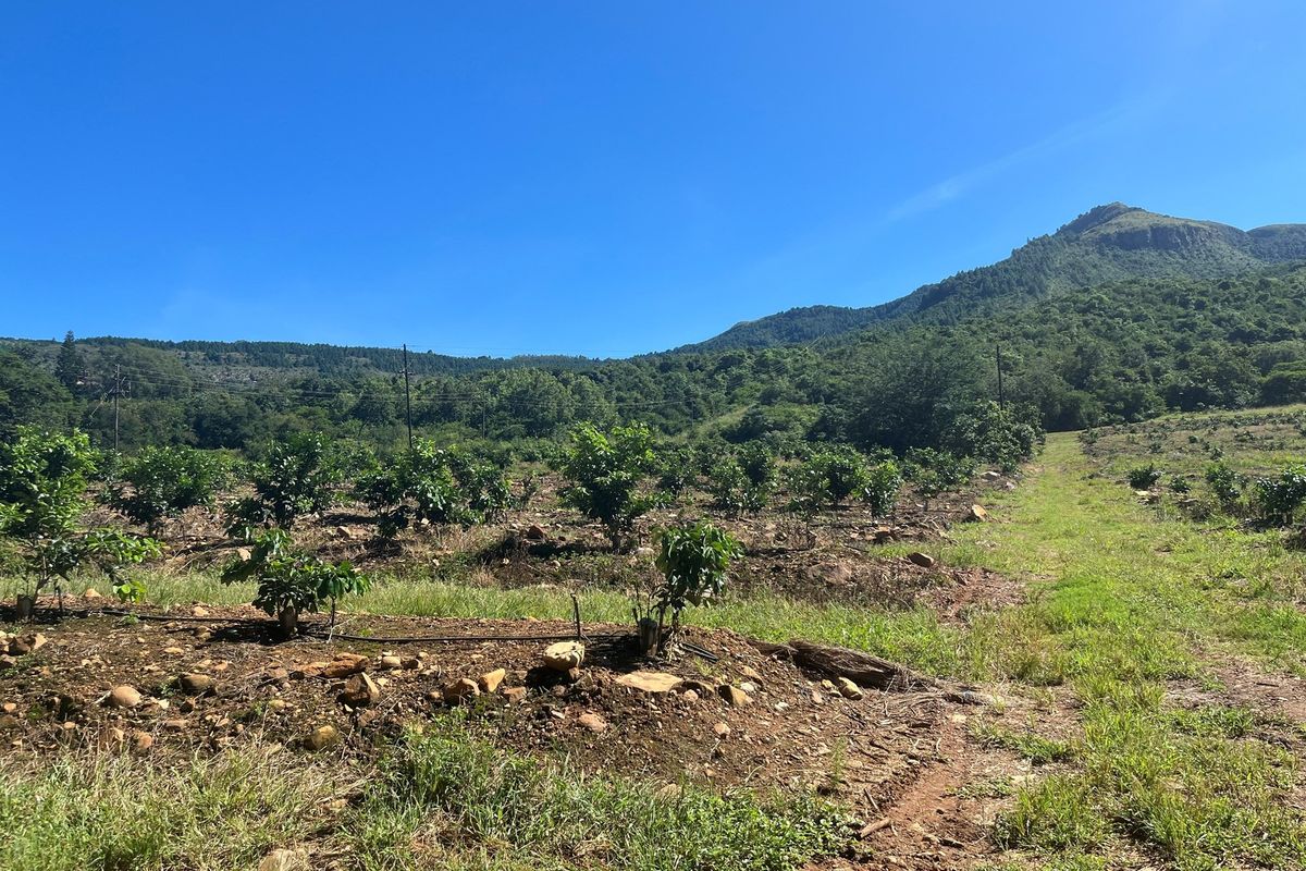 "Own Your Paradise: Orange Farm in Schoemanskloof" - Photo 5