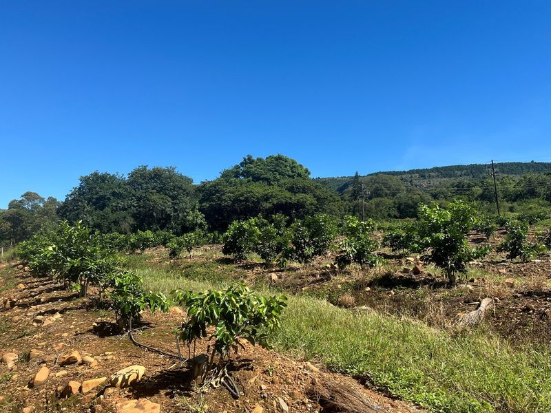 "Own Your Paradise: Orange Farm in Schoemanskloof" - Photo 2