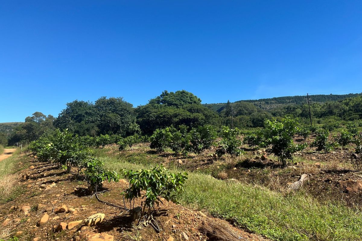 "Own Your Paradise: Orange Farm in Schoemanskloof" - Photo 2