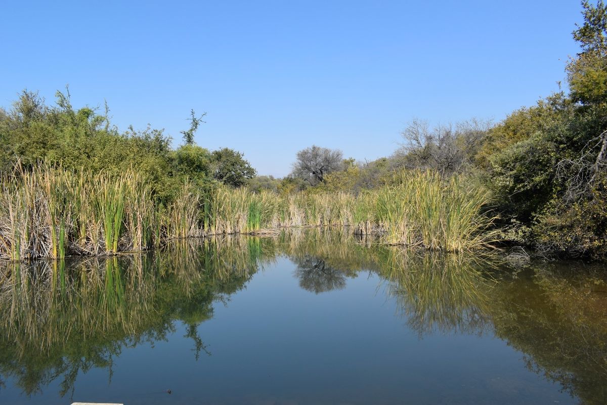 Sole Mandate .This plot and plan option available in Blyde Wildlife Estate. - Photo 5