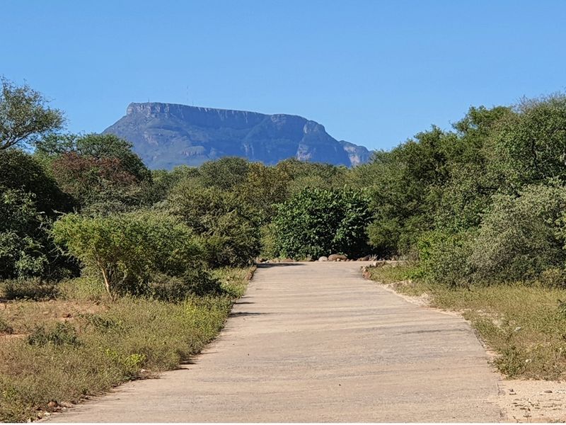 A scenic view of a paved driveway leading through natural bushveld vegetation towards a prominent mountain range in the distance.