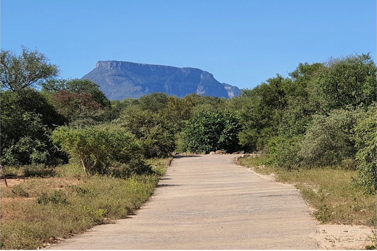 A scenic view of a paved driveway leading through natural bushveld vegetation towards a prominent mountain range in the distance.