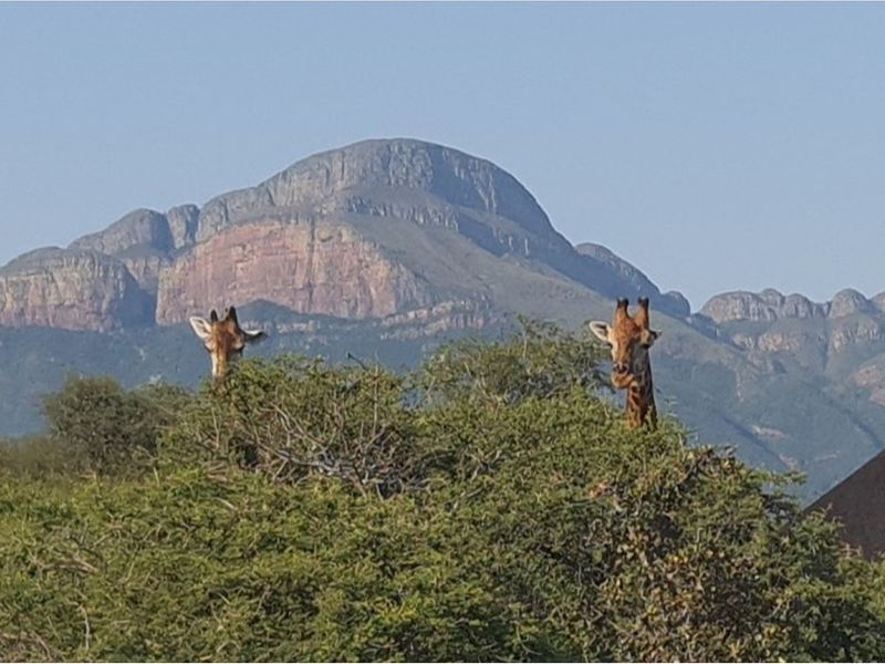 A scenic view of the surrounding landscape featuring natural vegetation and mountain vistas.